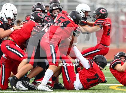 Thumbnail 1 in Camas @ Yelm photogallery.
