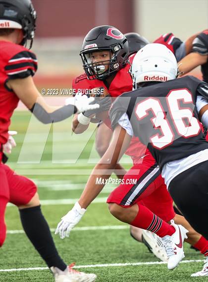 Thumbnail 1 in Camas @ Yelm photogallery.