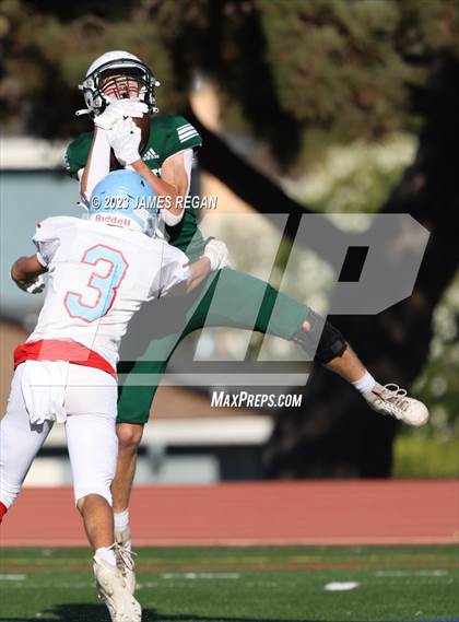Thumbnail 3 in Palo Alto @ Hillsdale photogallery.