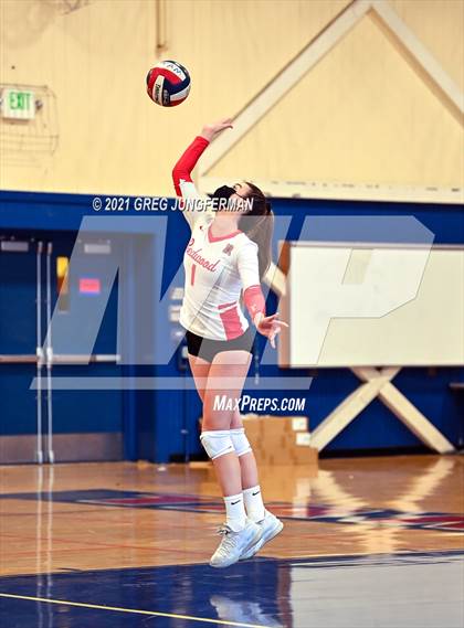 Thumbnail 1 in Redwood @ Tamalpais photogallery.