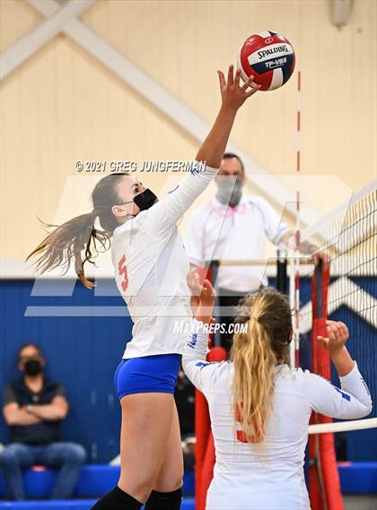 Thumbnail 3 in Redwood @ Tamalpais photogallery.