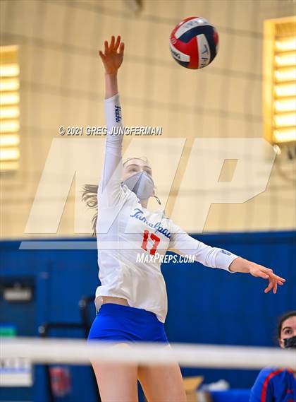 Thumbnail 2 in Redwood @ Tamalpais photogallery.