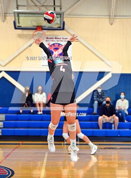 Thumbnail 3 in Redwood @ Tamalpais photogallery.
