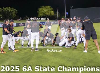 Thumbnail 2 in Casteel @ Corona del Sol (AIA 6A Final Awards) photogallery.