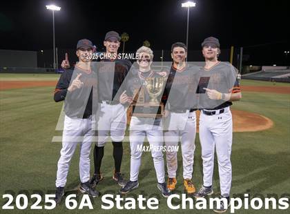 Thumbnail 2 in Casteel @ Corona del Sol (AIA 6A Final Awards) photogallery.