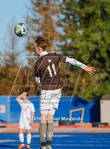 Thumbnail 2 in Crespi @ Chaminade photogallery.