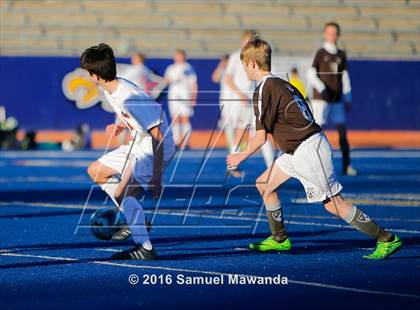 Thumbnail 3 in Crespi @ Chaminade photogallery.