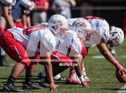 Thumbnail 1 in Pueblo Centennial vs Pine Creek photogallery.