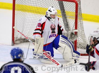 Thumbnail 1 in Hall/Southington @ Smith/Tolland/Windham photogallery.