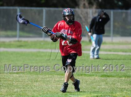 Thumbnail 1 in Wilbur Cross @ North Haven photogallery.