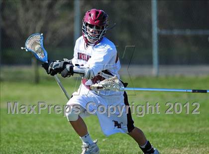 Thumbnail 2 in Wilbur Cross @ North Haven photogallery.