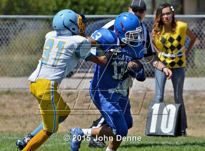 null - Photo 11