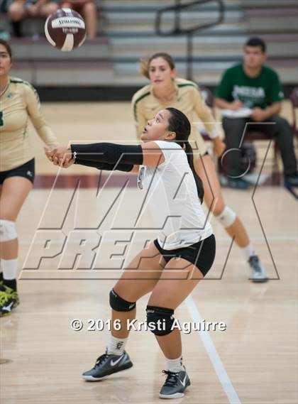 Thumbnail 3 in Paloma Valley vs. Murrieta Mesa photogallery.