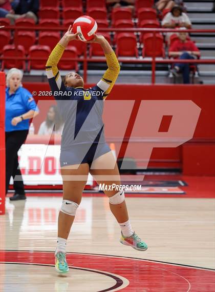Thumbnail 2 in JV: Pine Tree @ Carthage photogallery.