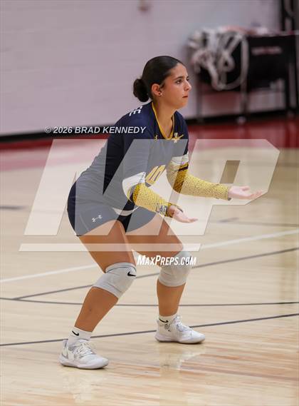Thumbnail 1 in JV: Pine Tree @ Carthage photogallery.