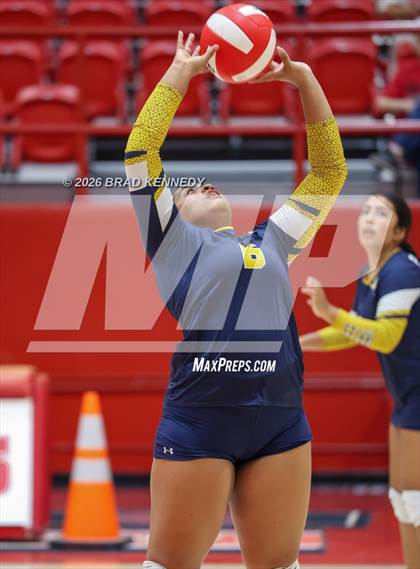 Thumbnail 3 in JV: Pine Tree @ Carthage photogallery.