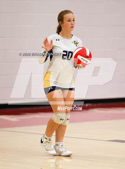 Thumbnail 2 in JV: Pine Tree @ Carthage photogallery.