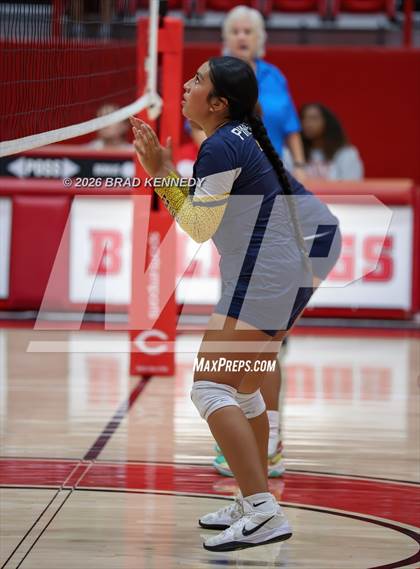 Thumbnail 1 in JV: Pine Tree @ Carthage photogallery.
