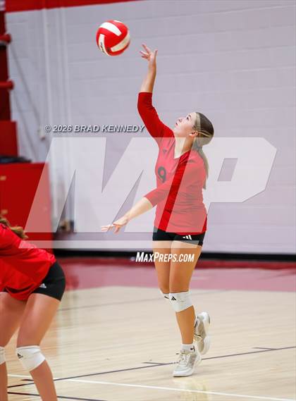 Thumbnail 2 in JV: Pine Tree @ Carthage photogallery.