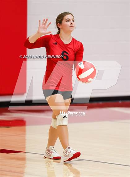 Thumbnail 1 in JV: Pine Tree @ Carthage photogallery.