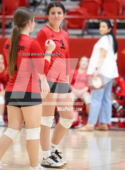 Thumbnail 3 in JV: Pine Tree @ Carthage photogallery.
