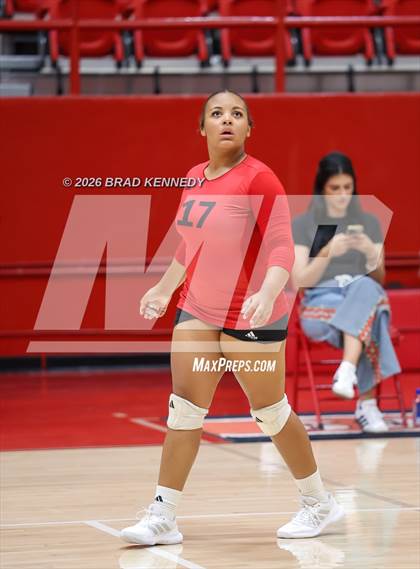 Thumbnail 1 in JV: Pine Tree @ Carthage photogallery.