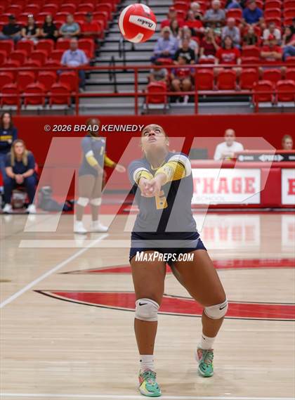 Thumbnail 3 in JV: Pine Tree @ Carthage photogallery.