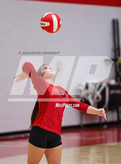 Thumbnail 3 in JV: Pine Tree @ Carthage photogallery.