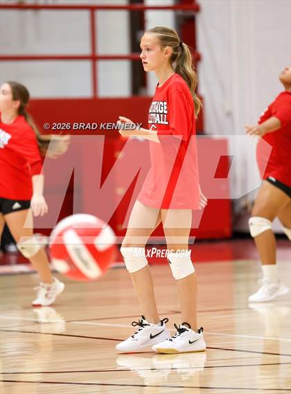 Thumbnail 1 in JV: Pine Tree @ Carthage photogallery.