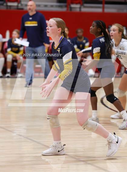 Thumbnail 3 in JV: Pine Tree @ Carthage photogallery.