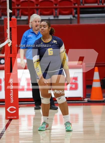 Thumbnail 2 in JV: Pine Tree @ Carthage photogallery.