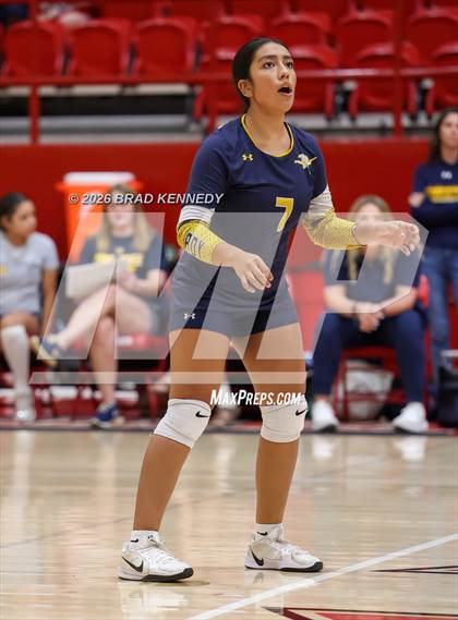 Thumbnail 1 in JV: Pine Tree @ Carthage photogallery.