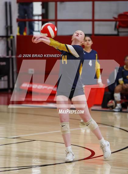 Thumbnail 2 in JV: Pine Tree @ Carthage photogallery.