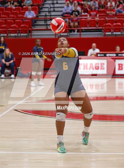 Thumbnail 1 in JV: Pine Tree @ Carthage photogallery.