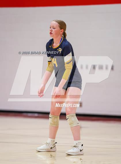 Thumbnail 1 in JV: Pine Tree @ Carthage photogallery.