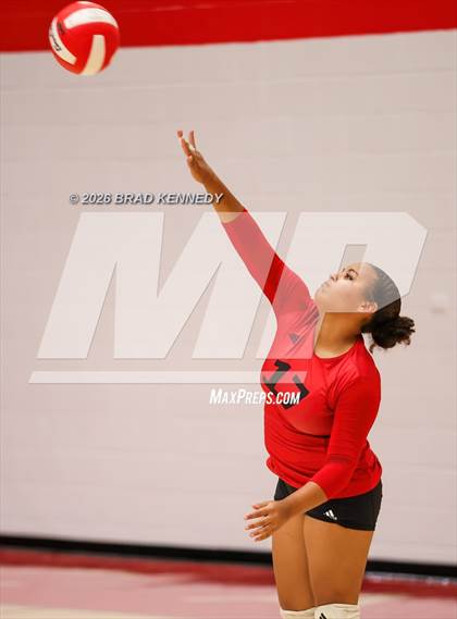 Thumbnail 2 in JV: Pine Tree @ Carthage photogallery.