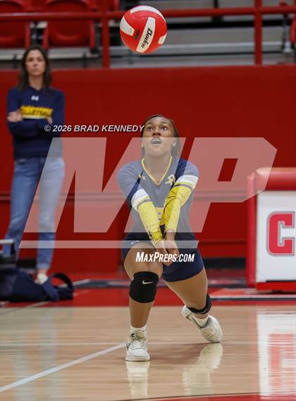 Thumbnail 2 in JV: Pine Tree @ Carthage photogallery.