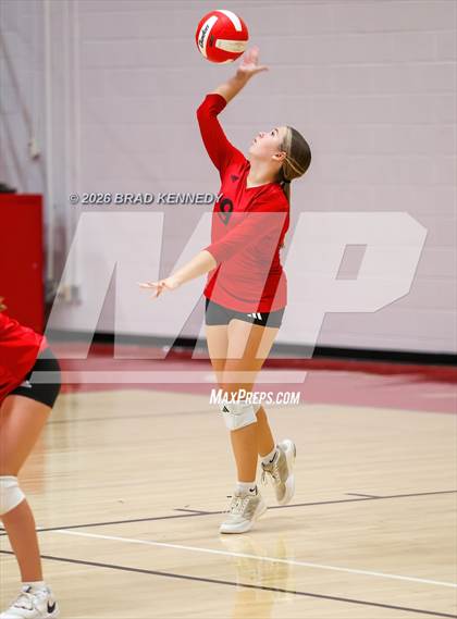 Thumbnail 1 in JV: Pine Tree @ Carthage photogallery.