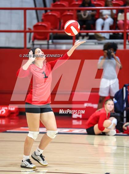 Thumbnail 1 in JV: Pine Tree @ Carthage photogallery.