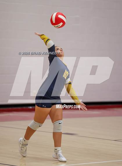 Thumbnail 1 in JV: Pine Tree @ Carthage photogallery.
