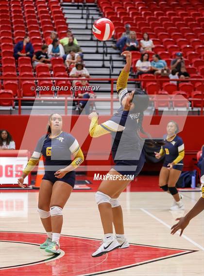 Thumbnail 1 in JV: Pine Tree @ Carthage photogallery.