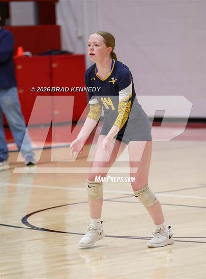Thumbnail 1 in JV: Pine Tree @ Carthage photogallery.