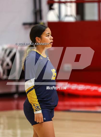 Thumbnail 1 in JV: Pine Tree @ Carthage photogallery.