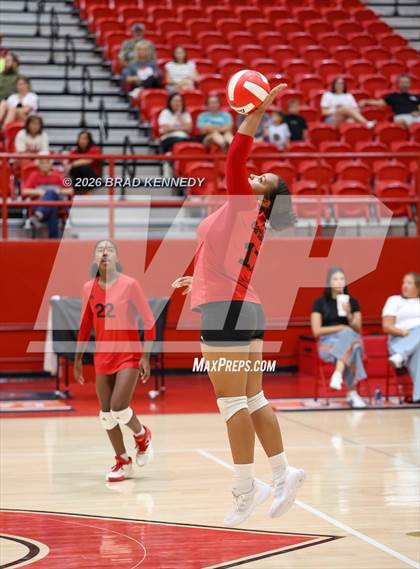 Thumbnail 3 in JV: Pine Tree @ Carthage photogallery.