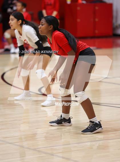 Thumbnail 3 in JV: Pine Tree @ Carthage photogallery.