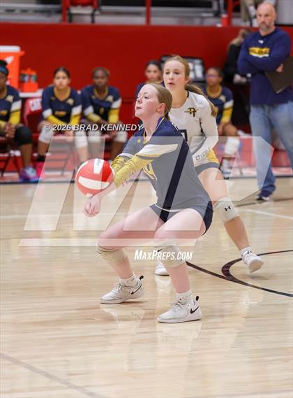 Thumbnail 1 in JV: Pine Tree @ Carthage photogallery.
