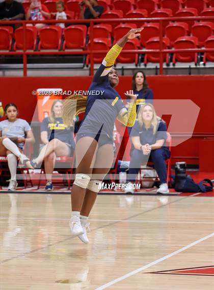 Thumbnail 1 in JV: Pine Tree @ Carthage photogallery.