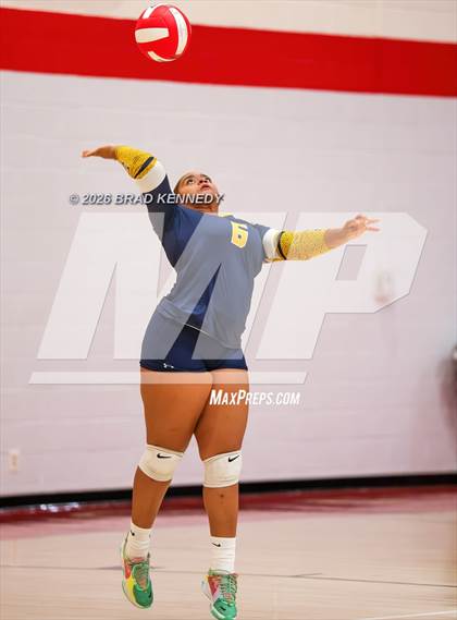 Thumbnail 2 in JV: Pine Tree @ Carthage photogallery.