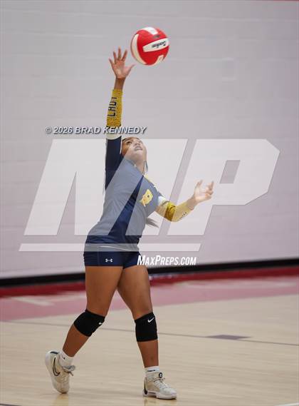 Thumbnail 3 in JV: Pine Tree @ Carthage photogallery.