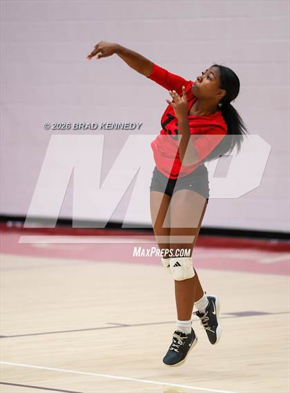 Thumbnail 2 in JV: Pine Tree @ Carthage photogallery.